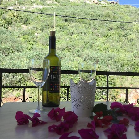 Sea Sound Aparthotel Vasiliki  Room photo